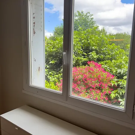 Familial Et Confortable * Toulouse